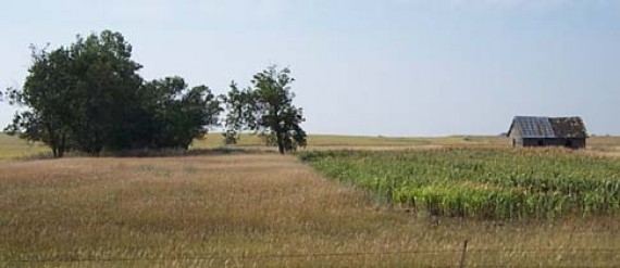 The Ultimate Pheasant Hunt, Lake Andes South Dakota