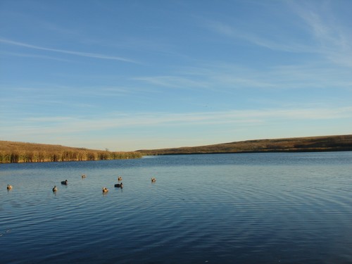 Waterfowl Hunting Photo