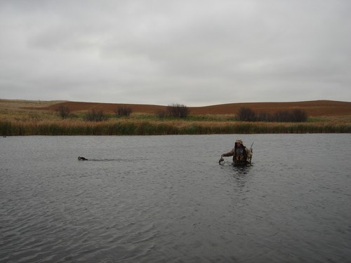Waterfowl Hunting Photo