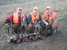 Pheasant Hunting in South Dakota 1