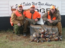 Pheasant Hunting in South Dakota 2