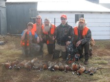 Pheasant Hunting in South Dakota 3