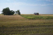 Pheasant Camp Lodge Land 8