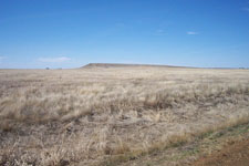 West River Adventures Pheasant Hunting Private Land 3