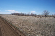 West River Adventures Pheasant Hunting Private Land 4