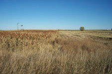 Pheasant Camp Lodge Land 1