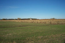Pheasant Camp Lodge Land 3