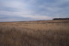 Pheasant Camp Lodge Land 6
