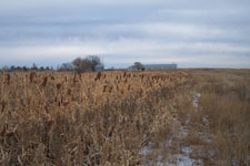 Pheasant Camp Lodge Land 7