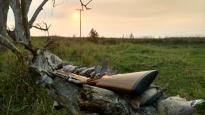 Self Guided South Dakota Dove Hunting