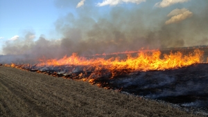 Just days prior to blizzard - conducting prescribed burns