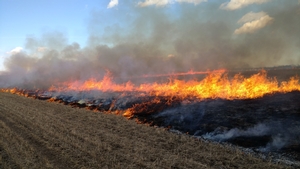 Just days prior to blizzard - conducting prescribed burns