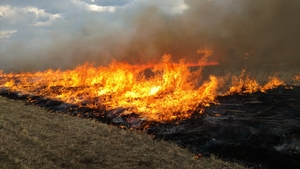 Just days prior to blizzard - conducting prescribed burns