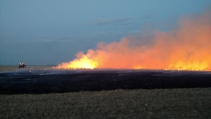 Just days prior to blizzard - conducting prescribed burns