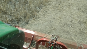 mulching food plots