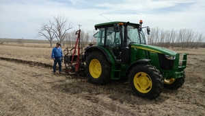 2 days pre-blizzard - planting 600 cedar trees