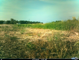 Pic 3