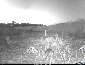 Pic 8