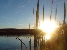 Mornin Sunshine!