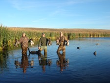 Waders Only Please