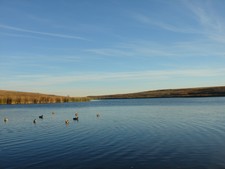 Beauty Day on the Slough
